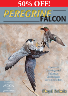 Peregrine Falcon - 50% OFF