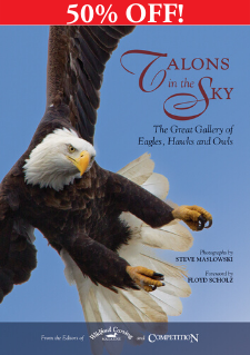 Talons in the Sky - 50% OFF